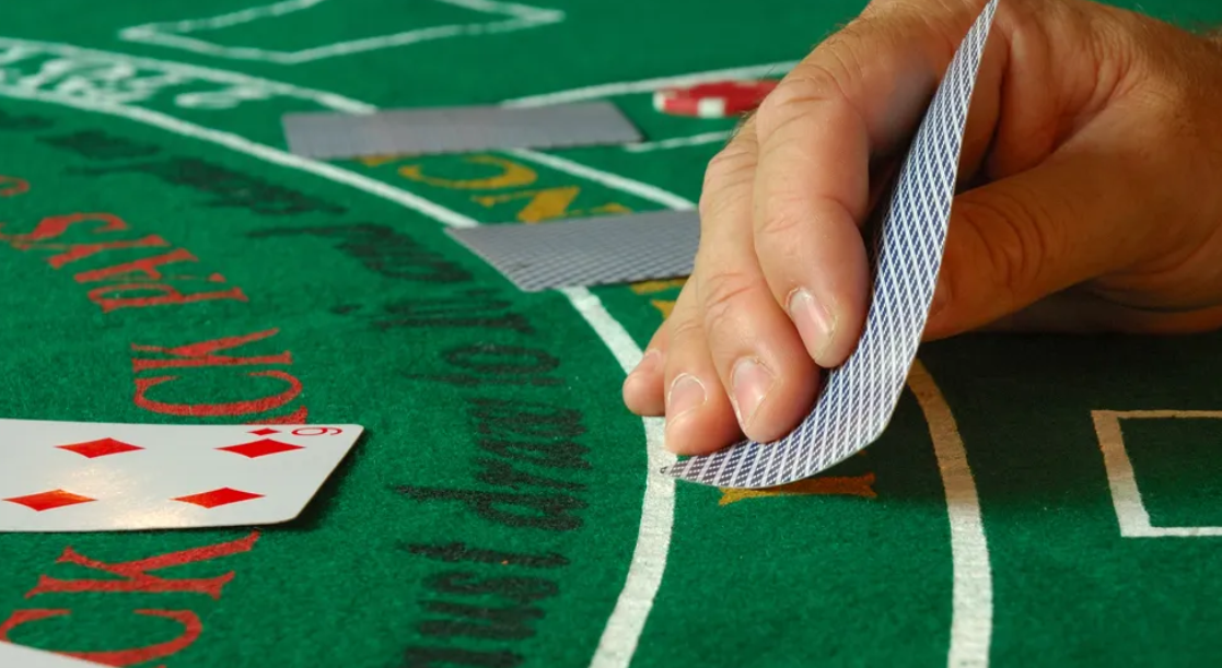 Immerse yourself in the world of cats and winnings with Catsino 3